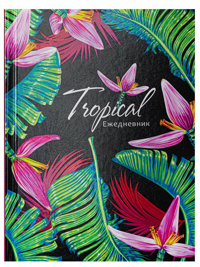 Кликните для увеличения изображения