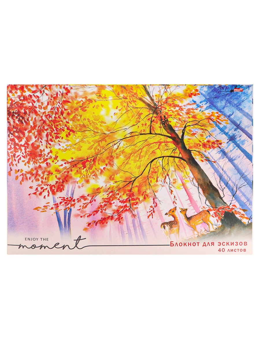 Кликните для увеличения изображения