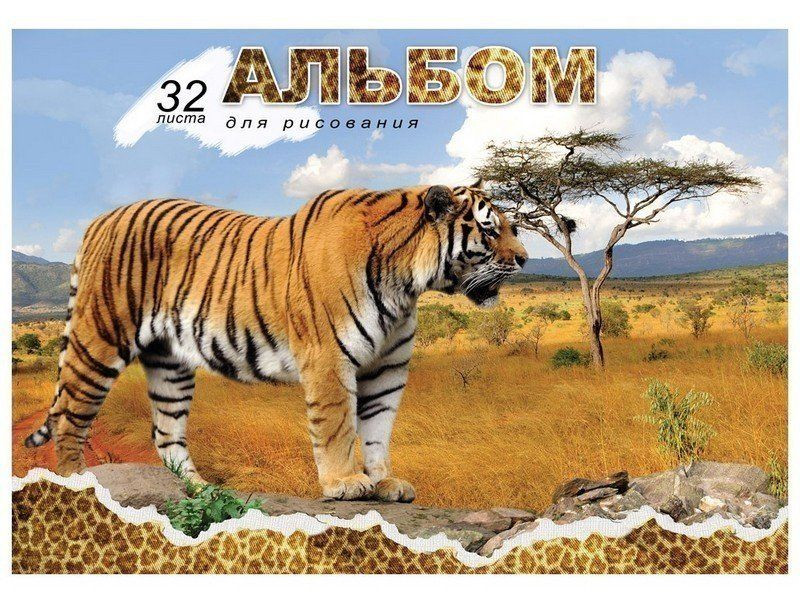 Кликните для увеличения изображения