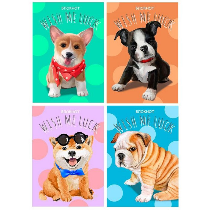 Кликните для увеличения изображения