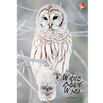 Кликните для увеличения изображения