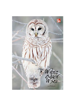 Книга для записей А6 (110х145), 80л. 7БЦ. Живая планета. Полярная сова 80л.