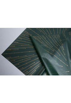 Пленка матовая 60х60см 20 лист Лучики зеленый