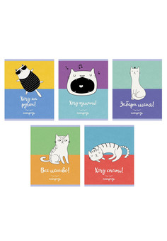 Тетради А5 48л. Скрепка. Клетка. Цитаты кота