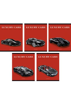 ТЕТРАДЬ А5 (*скрепка) 48Л. Обложка: без отделки Стиль и скорость (авто) 48л., 5 видов (линия)