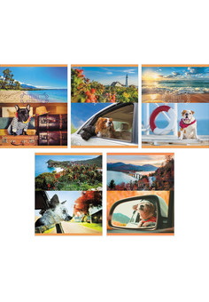 Тетрадь А5- 48л. Скрепка. Клетка. Каникулы собачек