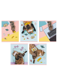 Тетрадь А5 48л. Скрепка. Клетка. Обл.: мел. картон. День кота