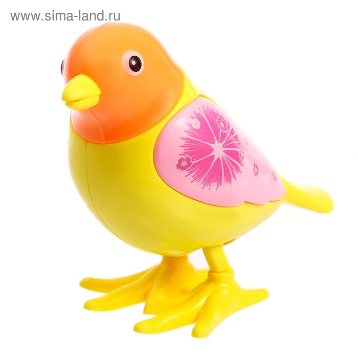 Игрушка заводная «Яркая птичка», МИКС 4662296, изображение 4