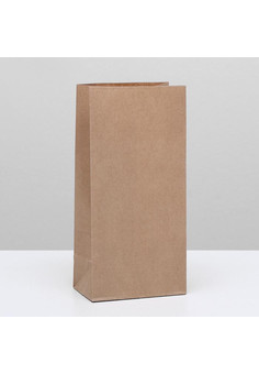 Пакет крафт бумажный фасовочный, прямоугольное дно 12 х 8 х 24 см   3742617