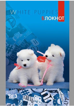 Блокнот А7 кл, 32л. 