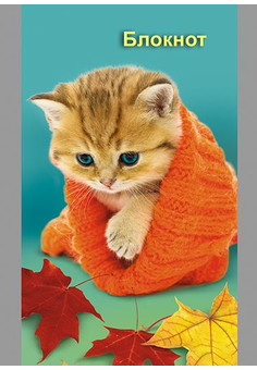 Блокнот А7 кл, 32л. 