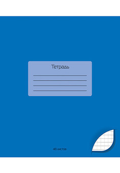 Тетрадь 48 л. кл. обл. однотонная тониров. 