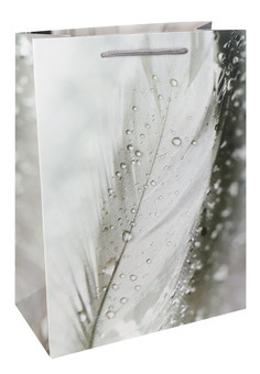 Dream cards Пакет подарочный с мат. лам. и тиснением фольгой. Перо и капли, розовый  18х24х8,5 см, 2