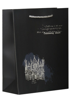 Dream cards Пакет подарочный с мат. лам. Нарисованный Сиенский собор 19,5х24,5х9,5 см, 210 г ППК-182