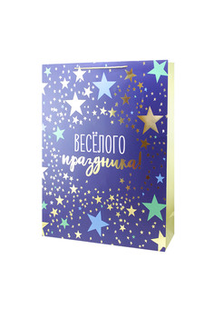 Пакет подарочный 