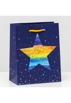 Пакет подарочный 