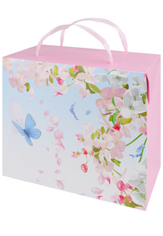 Подарочный пакет-коробка с глян.лам 22,5*20*13,5(М) 