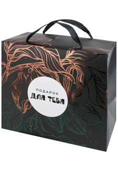 Подарочный пакет-коробка с глян.лам и тиснением фольгой 22,5*20*13,5(М) 