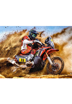 Пазлы 300 Мотобайк