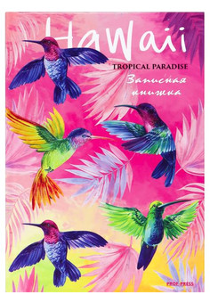 ЗАПИСНАЯ КНИЖКА. А6 96л. ЯРКИЕ КОЛИБРИ (96-6571) 7БЦ, глянц.ламинирование, цвет.мелов.обл., изображение 1