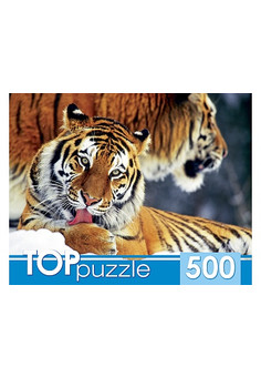 TOPpuzzle. ПАЗЛЫ 500 элементов. КБТП500-6797 Два тигра