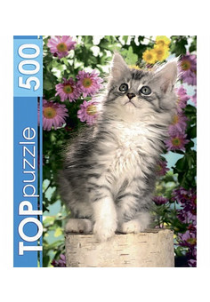 TOPpuzzle. ПАЗЛЫ 500 элементов. КБТП500-6798 Котенок в цветах