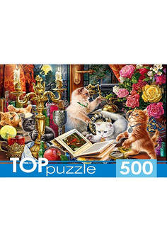 TOPpuzzle. ПАЗЛЫ 500 элементов. П500-0736 НОЧНЫЕ КОТЯТА