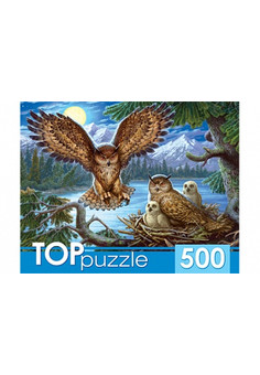 TOPpuzzle. ПАЗЛЫ 500 элементов. ХТП500-4218 НОЧНЫЕ СОВЫ