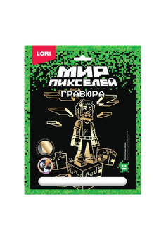 Гри-002 Гравюра 18*24 Мир пикселей 