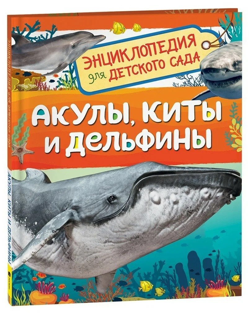 Кликните для увеличения изображения