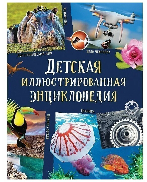 Кликните для увеличения изображения