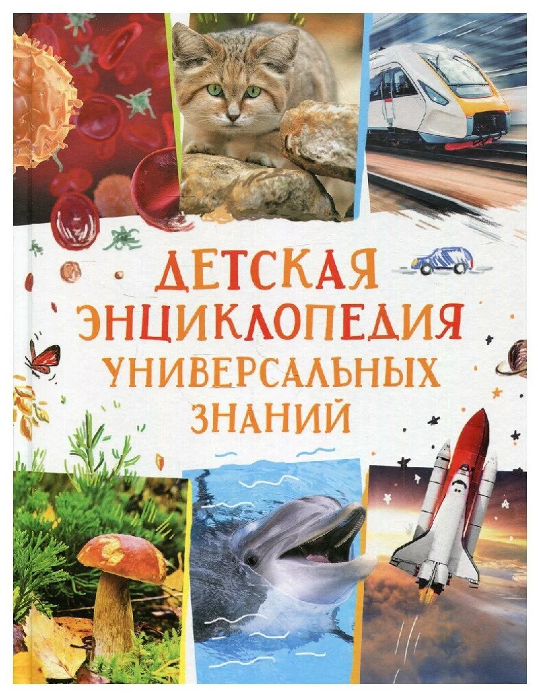 Кликните для увеличения изображения