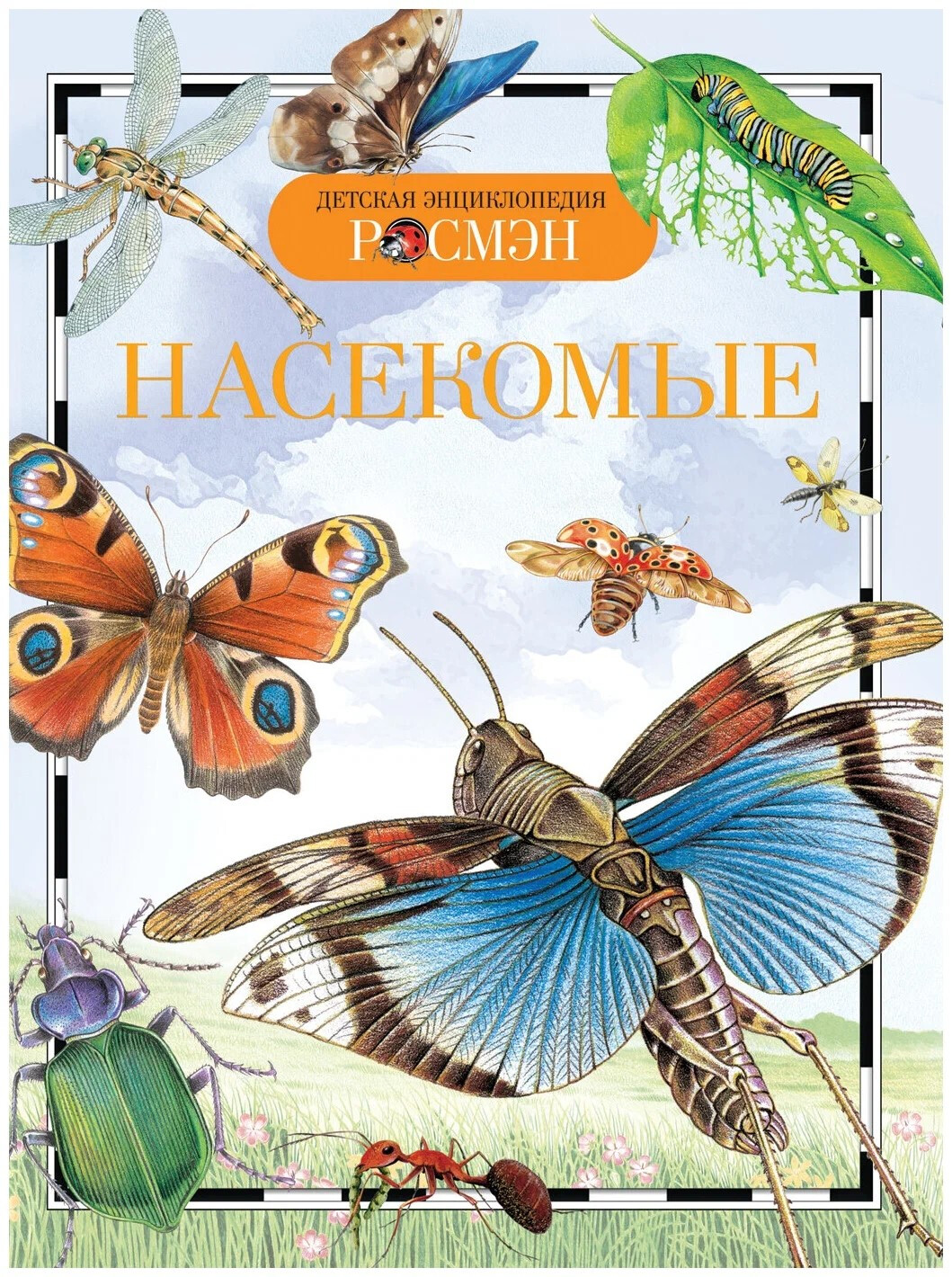 Кликните для увеличения изображения