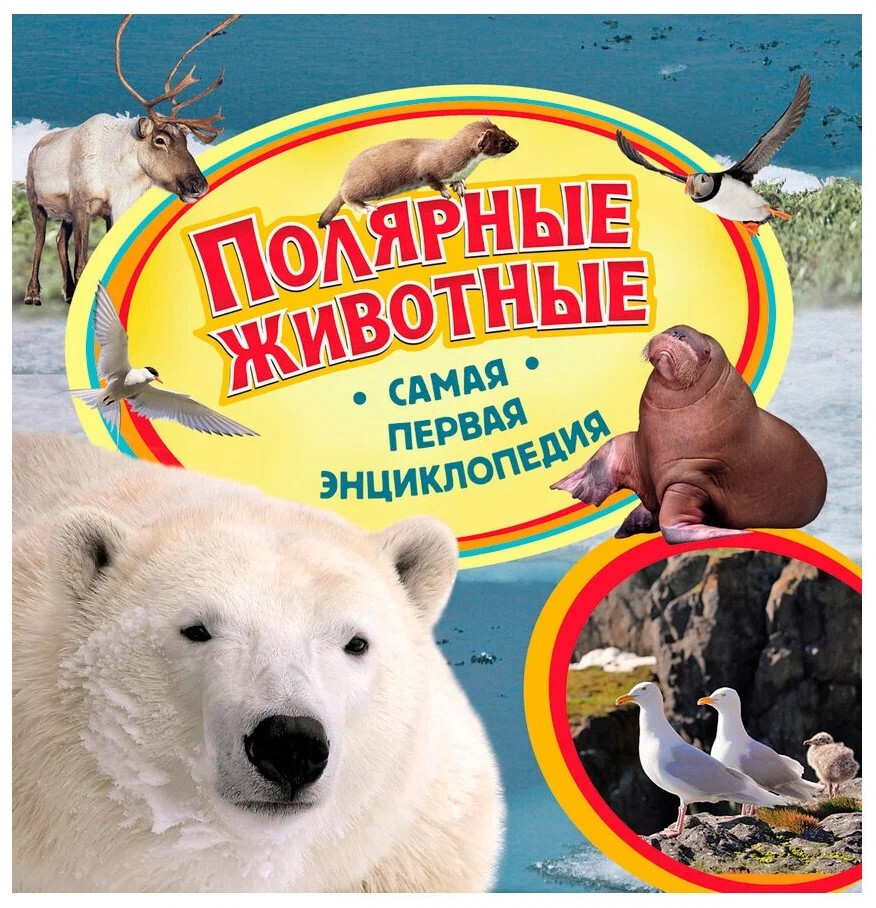 Кликните для увеличения изображения