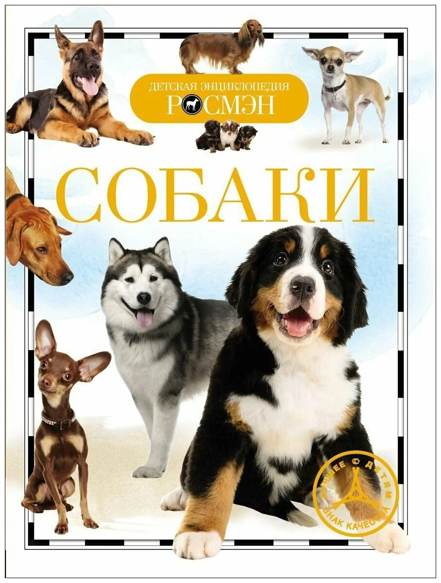 Кликните для увеличения изображения