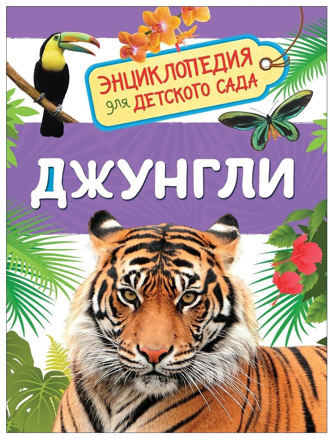 Кликните для увеличения изображения