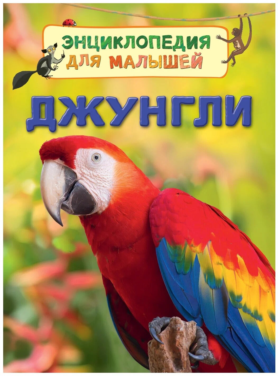 Кликните для увеличения изображения