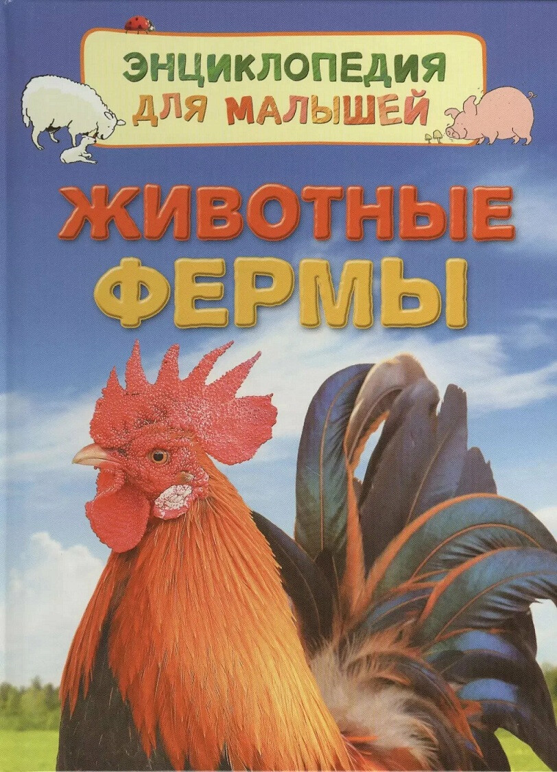 Кликните для увеличения изображения