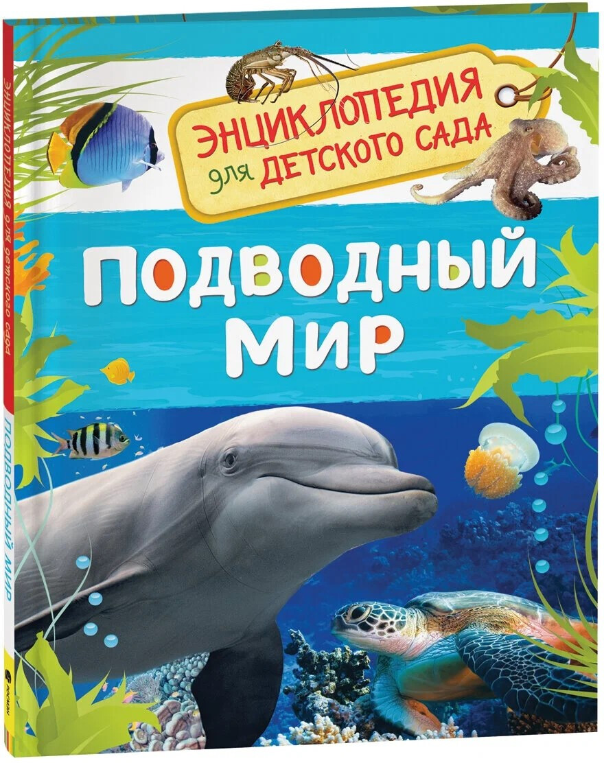 Кликните для увеличения изображения