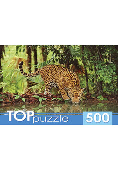 TOPpuzzle. ПАЗЛЫ 500 элементов. КБТП500-6801 Ягуар на водопое