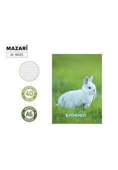 Блокнот А6, 40 л., обложка картон, блок офсет, клетка, на спирали